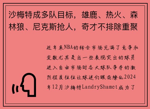 沙梅特成多队目标，雄鹿、热火、森林狼、尼克斯抢人，奇才不排除重聚