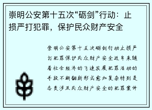 崇明公安第十五次“砺剑”行动：止损严打犯罪，保护民众财产安全