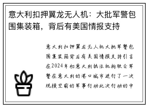 意大利扣押翼龙无人机：大批军警包围集装箱，背后有美国情报支持