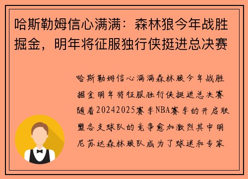 哈斯勒姆信心满满：森林狼今年战胜掘金，明年将征服独行侠挺进总决赛